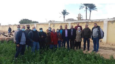 بحوث الصحراء ينظم دورة تدريبية حول الإنتاج النباتي المستدام في الصحراء المصرية