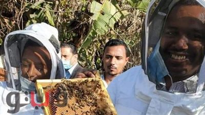 السفير الإثيوبي بالقاهرة يتفقد مراحل إنتاج العسل بـ