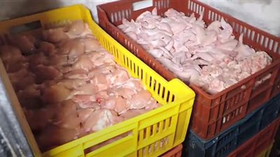 شاهد.. مصادرة أطنان من الدواجن والسلع الغذائية فاسدة ومجهولة المصدرl فيديو