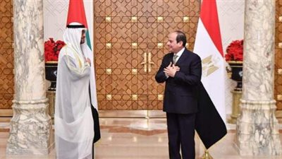 عربية النواب: قمة السيسي وبن زايد تؤكد قدرة البلدين على تحقيق استقرار المنطقة