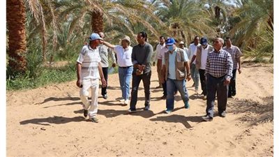 بحوث الصحراء: اكتشاف 4000 بئر روماني في الساحل الشمالي الغربي