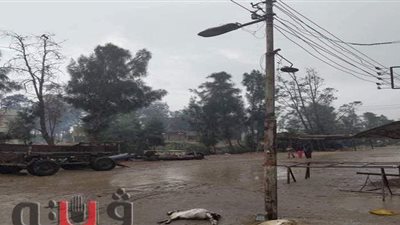 بعد نفوق أغنام صعقا بالكهرباء.. أهالي الشرقية: