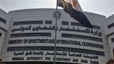 الاستثمار تصدر ضوابط الاستيراد في المناطق الحرة