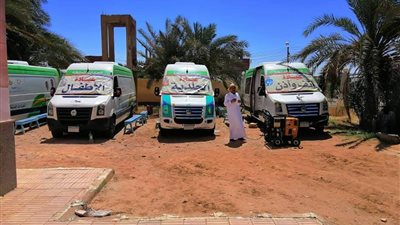 قافلة طبية توقع الكشف الطبي على 326 مواطنا بالوادي الجديد