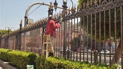 الآثار: بدء أعمال تطوير الموقع العام للمتحف المصري بالتحرير (صور)