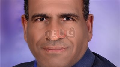 باحث: أمريكا اعتمدت على الإخوان خلال ثورة 25 يناير لتنفيذ أهدافها في مصر