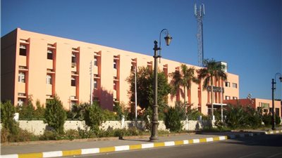 الأحد.. فتح باب التظلمات على الأكشاك الخشبية بالوادي الجديد