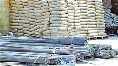 الزيني : المشروعات القومية ساهمت في تحريك قطاعي الحديد والأسمنت بنسبة 50%