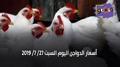 اسعار بورصة الدواجن اليوم | اسعار الدواجن اليوم السبت 27/ 7/ 2019