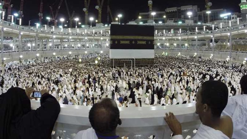 مصر للطيران تكثف