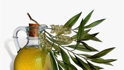 زيت شجرة الشاي| 4 أمراض جلدية يعالجها زيت شجرة الشاي