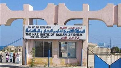 تفاصيل اجتماع مجلس إدارة المعهد القومي لعلوم البحار والمصايد