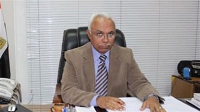 مساعد نائب رئيس 