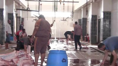 الوادي الجديد تجهز 10 مجازر و4 نقاط ذبيح لعيد الأضحى المبارك