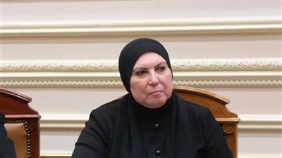 نيفين جامع: نستهدف تطوير برامج تمويل المشروعات متناهية الصغر