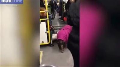 بالفيديو والصور.. خنزير يصعد مترو الأنفاق ويفاجئ الركاب