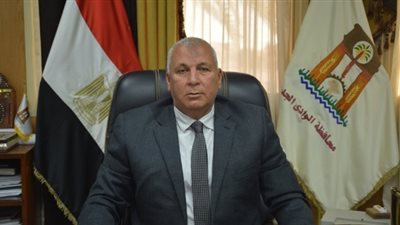 إيقاف مبادرة زراعة النخيل بعد تخصيص 165 ألف بالوادي الجديد