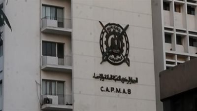 الإحصاء: ٨٨.٥% من الأسر المصرية تستفيد بمنظومة الدعم الجديدة