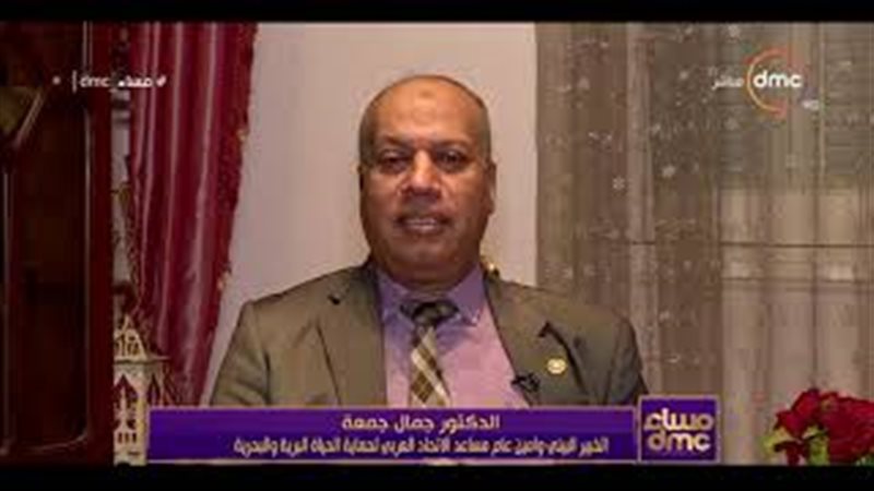 فيتو
