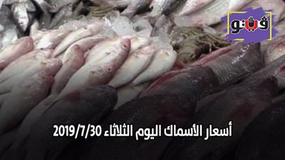 أسعار الأسماك اليوم الثلاثاء 2019/7/30