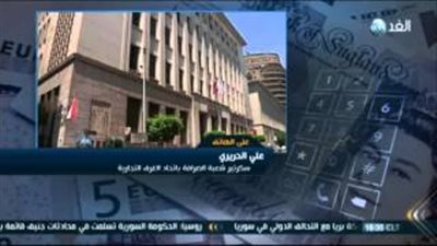 بالفيديو.. «الصرافة»: «المركزي» وعد بتخفيض سعر الدولار خلال أسبوع