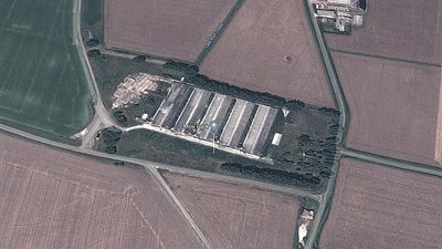 نفوق آلاف الدجاج في بريطانيا بسبب ارتفاع درجة الحرارة (صور)