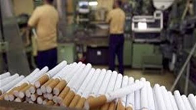 شعبة الدخان: نستورد التبغ من 5 دول.. ولا تتم زراعته في مصر