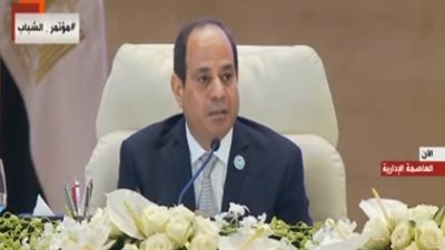 السيسي عن قواعد بيانات المواطنين: 