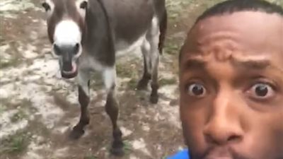 شهرة واسعة لرجل وحماره يغنيان معا(فيديو وصور)