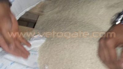 بالصور.. ضبط 60 طن رز أبيض به «ديدان وسوس» بمطروح