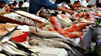 تراجع الإقبال على الأسماك واستقرار اسعارها في الأسواق