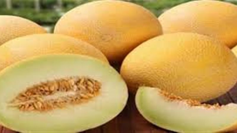 الشمام