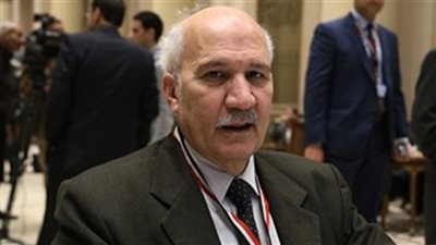 رئيس حزب التجمع يطالب بإلغاء الدعم عن الأسرة حال إنجابها الطفل الثالث