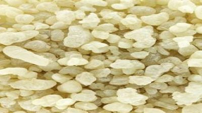 اللبان المر يطهر الجسم من السموم ويقوي جهاز المناعة