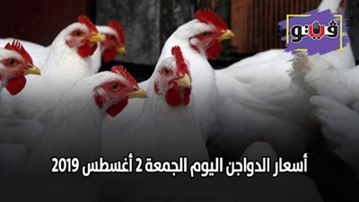 اسعار الدواجن اليوم الجمعة 2 أغسطس 2019