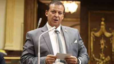 برلماني: تأثيث ألف شقة للأسر الأولى بالرعاية باكورة ثمرات مؤتمر الشباب