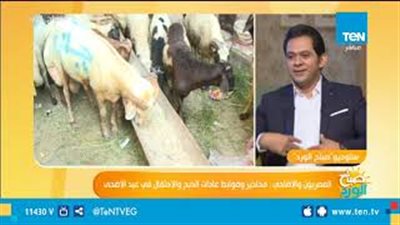 طبيب يحذر من خطورة ذبح الأضاحي في الطرقات على صحة الإنسان (فيديو)