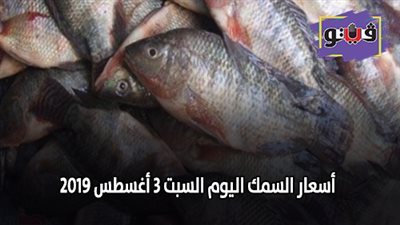 أسعار السمك اليوم السبت 3 أغسطس 2019