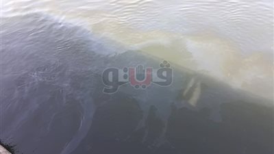 ظهور بقعة زيت في نهر النيل بالأقصر (صور)