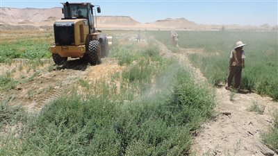 حملات إزالة ضد المتقاعسين عن سداد أقساط تقنين وضع اليد بالوادي الجديد