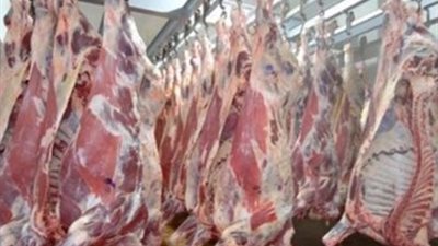 عناوين الشوادر التابعة للتموين لبيع الخراف الحية واللحوم بأسعار مخفضة