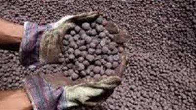 اليوم.. نظر ٨ طعون على إلغاء فرض رسوم على خام البليت