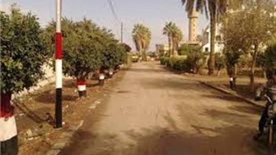 صفقة درجة ثانية تدعم الإسماعيلي في الموسم الجديد