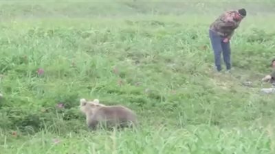 دب يوقظ شابين نائمين في موقف لا يحسدان عليه (فيديو)