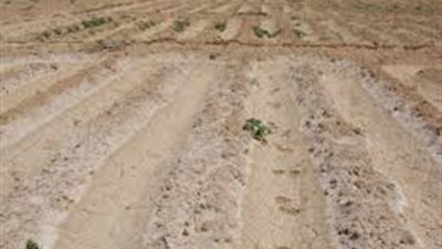 خبير عقاري: القاهرة الجديدة تحتل نصيب الأسد في شراء الأراضي