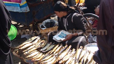 البلطي يسجل 12.25 جنيها بسوق العبور