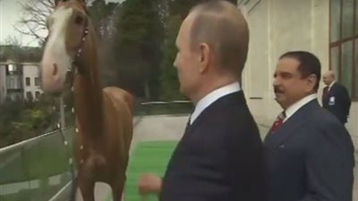 بوتين يهدي عاهل البحرين جوادا أصيلا