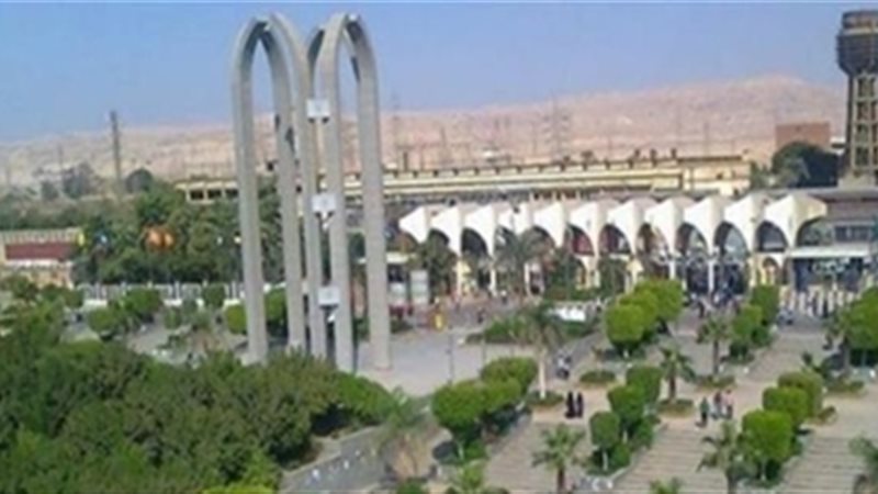 جامعة حلوان
