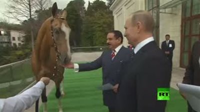 بالفيديو.. ملك البحرين يهدي بوتين «سيف دمشقي» والأخير يرد بـ«حصان أصيل»