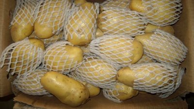 «الزراعة»: تصدير 252 ألف طن فاكهة و112 ألف طن خضراوات خلال شهر